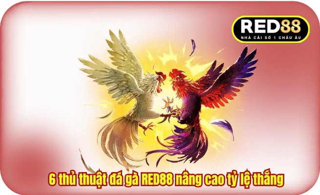 6 thủ thuật đá gà RED88 nâng cao tỷ lệ thắng