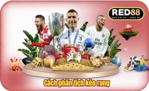 Cách phân tích kèo rung