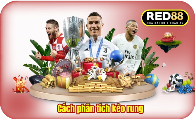 Cách phân tích kèo rung