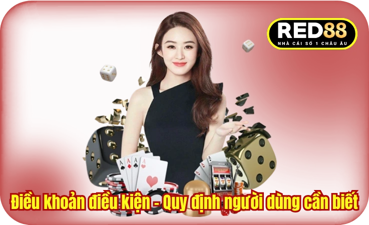Điều khoản điều kiện -  Quy định người dùng cần biết