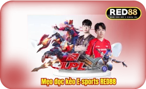 Mẹo Đọc Kèo E-Sports RED88