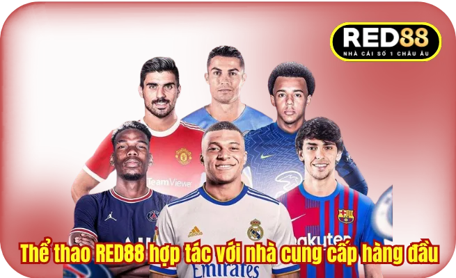 Thể thao RED88 hợp tác với các nhà cung cấp hàng đầu